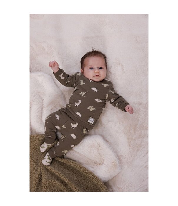 Feetje Feetje W25 - Rawrsome - Broek AOP - Olijf