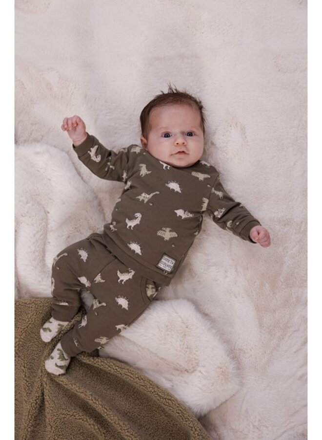 Feetje W25 - Rawrsome - Broek AOP - Olijf