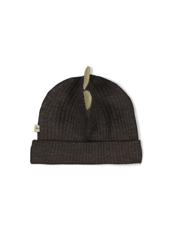 Feetje W25 - Rawrsome - Mutsje rib