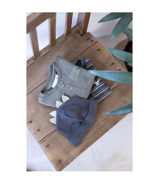 Feetje Feetje W25 - Rawrsome - Mutsje rib