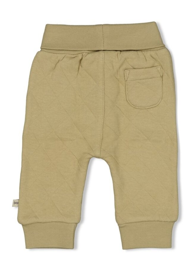 Feetje W25 - Rawrsome - Broek - Groen