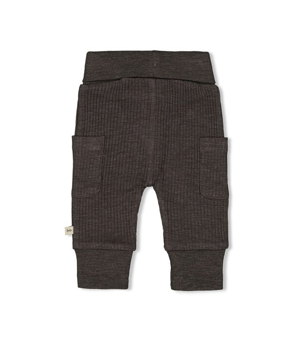 Feetje Feetje W25 - Rawrsome - Broek rib - AM