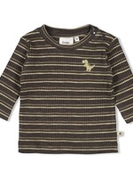 Feetje Feetje W25 - Rawrsome - Longsleeve rib met streep