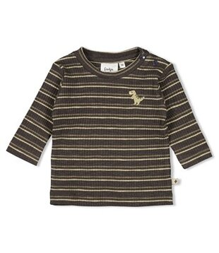 Feetje W25 - Rawrsome - Longsleeve rib met streep