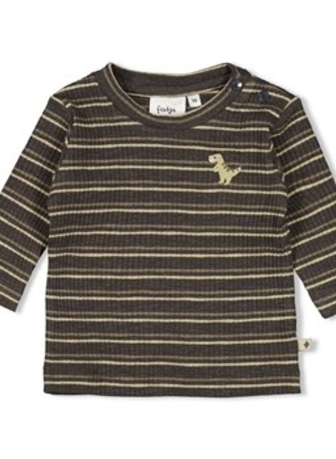 Feetje W25 - Rawrsome - Longsleeve rib met streep