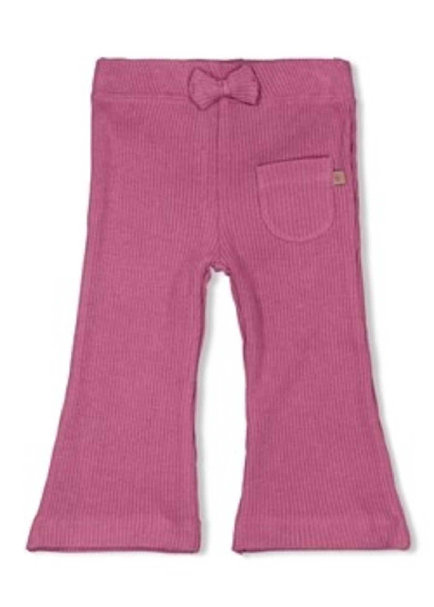 Feetje Feetje W25 - Better Together - Flare broek lila
