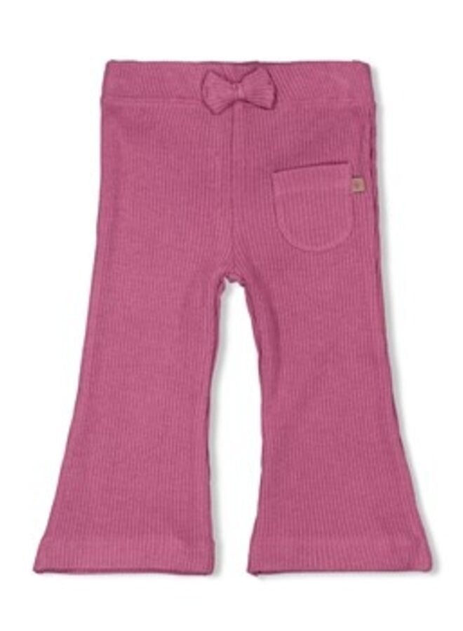 Feetje W25 - Better Together - Flare broek lila