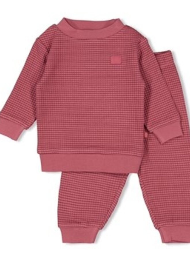 Feetje Wafelpyjama fam - Berry