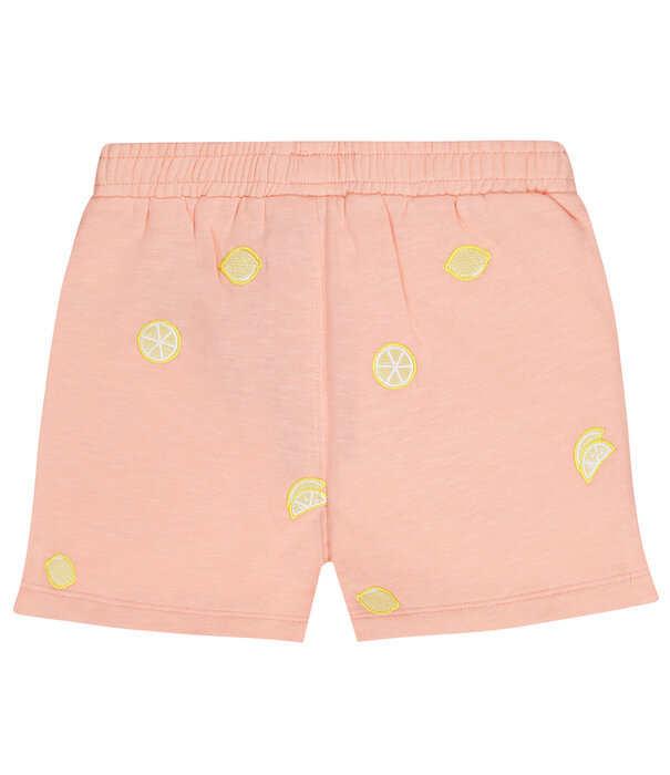 Tumble 'N Dry TND Citrone