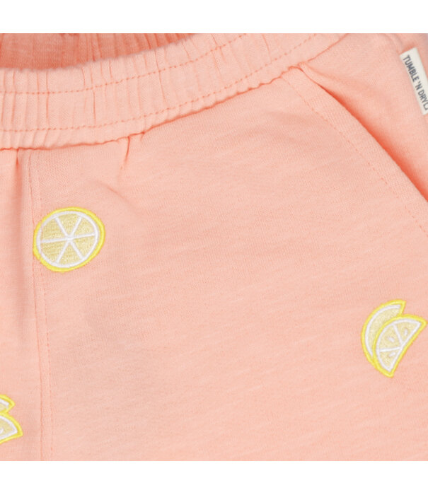 Tumble 'N Dry TND Citrone