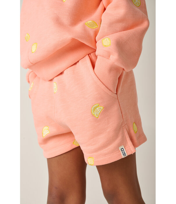 Tumble 'N Dry TND Citrone