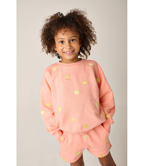 Tumble 'N Dry TND Citrone