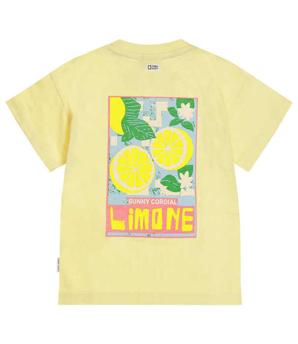 Tumble 'N Dry TND Lemons1