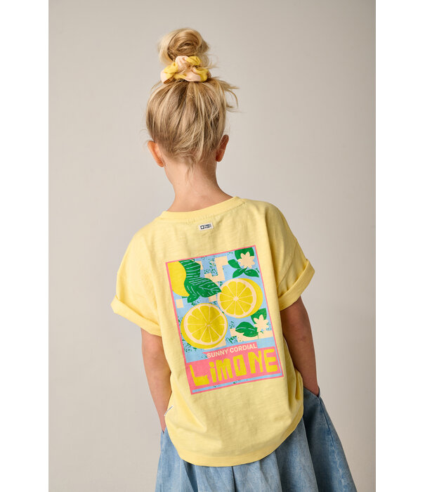 Tumble 'N Dry TND Lemons1