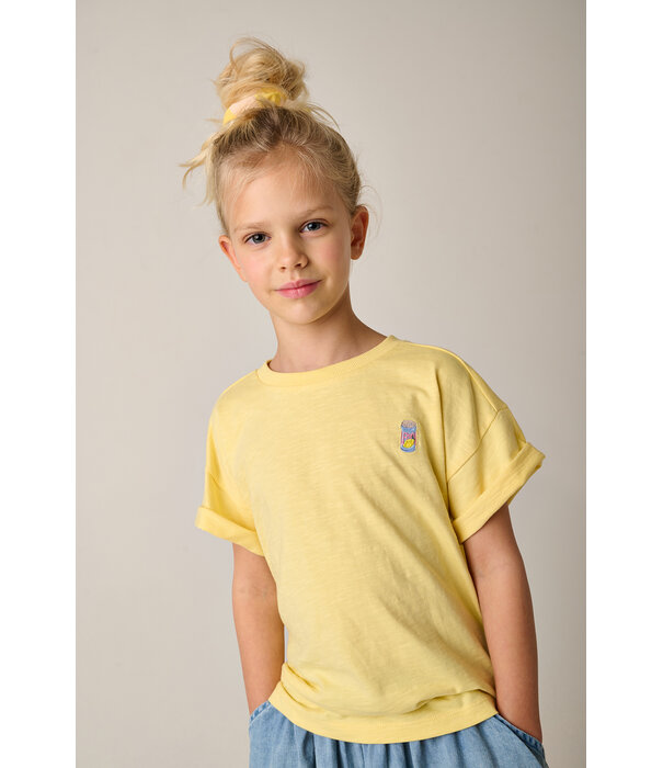 Tumble 'N Dry TND Lemons1