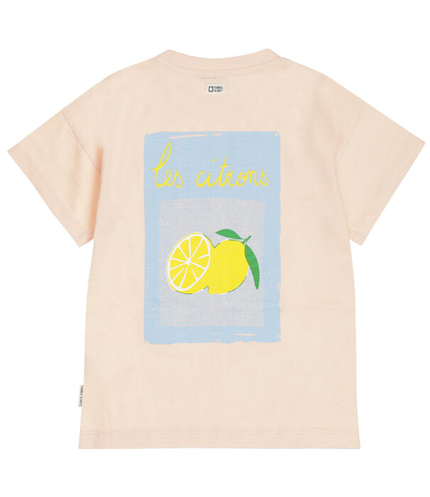 Tumble 'N Dry TND Lemons