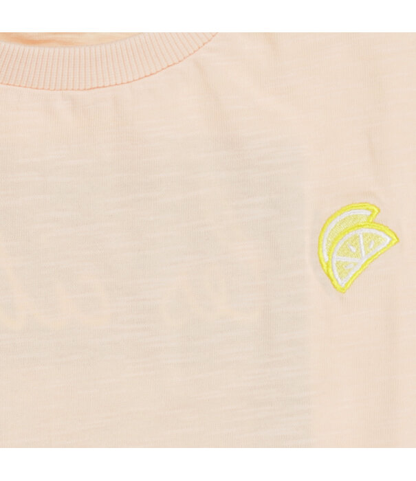 Tumble 'N Dry TND Lemons