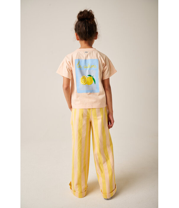 Tumble 'N Dry TND Lemons