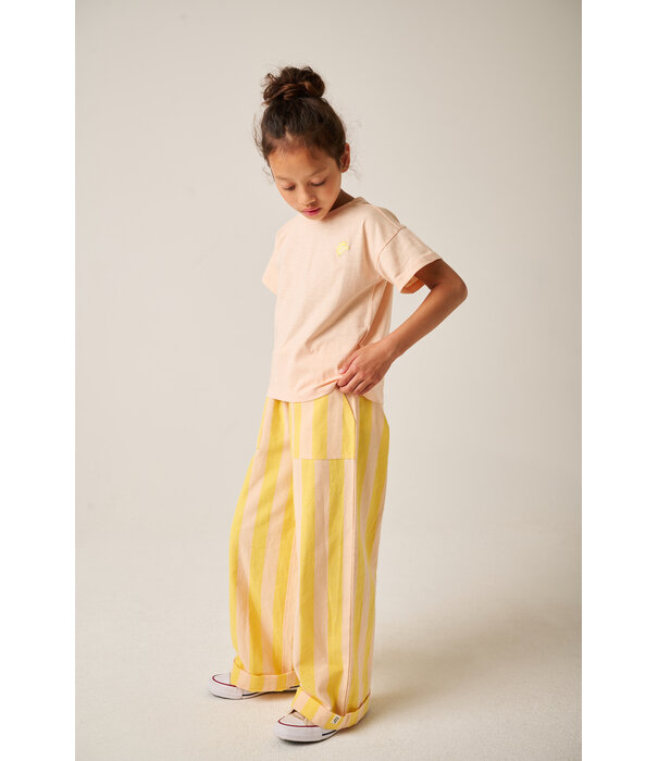 Tumble 'N Dry TND Lemons