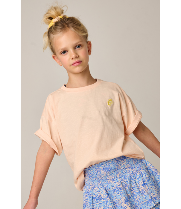 Tumble 'N Dry TND Lemons