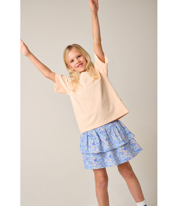 Tumble 'N Dry TND Lemons