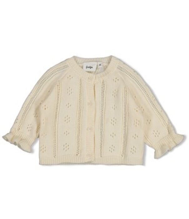 Feetje Vestje gebreid - Let Your Dreams Blossom