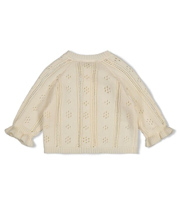 Feetje Vestje gebreid - Let Your Dreams Blossom