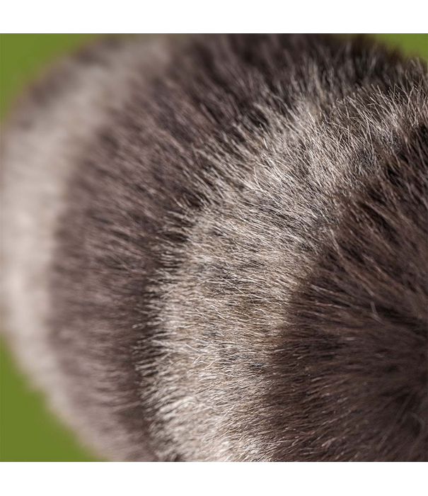 Jellycat Jellycat - Trixiwoo Raccoon