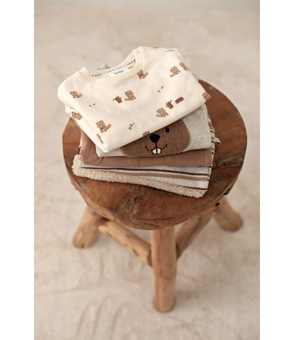 Feetje W26 -Broek rib met streep - Tiny Timber Tales