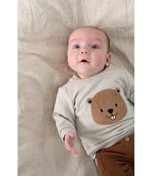 Feetje W26 -Sweater - Tiny Timber Tales