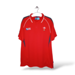 Rugby World Cup Wales 2015