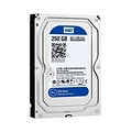 Western Digital HDD WD Blue 3.5inch / 250GB / 7200RPM PULLED (refurbished)