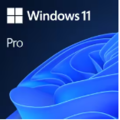 Microsoft Microsoft Windows 11 Professional