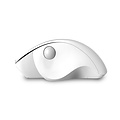QWare Qware Luton | Draadloze Muis | Links- en Rechtshandig | RF | 1600 DPI | Wit