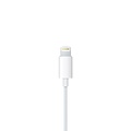 Apple EarPods | Bedrade Lightning In-Ear Oordopjes | Wit