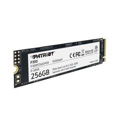P300 | 256GB NVMe SSD | M.2 Gen3 | 1.700MB/s Lezen | 1.100MB/s Schrijven