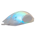 Baracuda White Shark Mordred-W | Gaming Muis | 825 Chipset | RGB Verlichting | 12.800 DPI | Wit