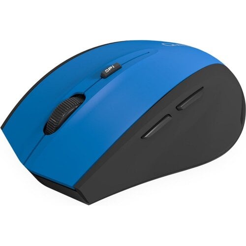 QWare QWARE Wireless Mouse Bolton Blauw