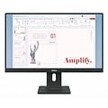 Lenovo ThinkVision E24-40 | 23,8" Full HD IPS | 100Hz | HDMI & DisplayPort | Monitor