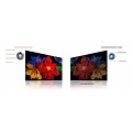 TCL 43S51K 43" | Full HD QLED Smart TV | Google TV | HDR10 | Zwart