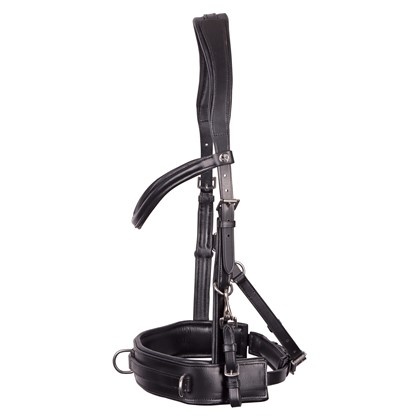 Harry's Horse Kaptoom Hoofdstel Leder Comfort - Zwart