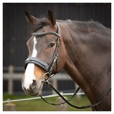 Harry's Horse Kaptoom Hoofdstel Leder Comfort - Zwart