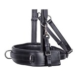 Harry's Horse Kaptoom Hoofdstel Leder Comfort - Zwart