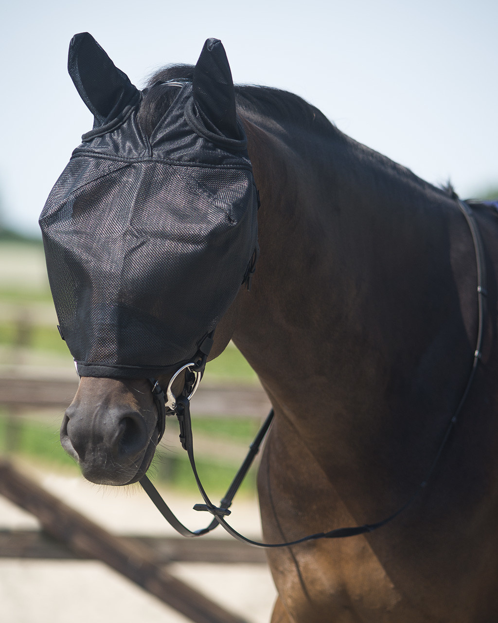 QHP Rij Vliegenmasker met Oren - Zwart - Maat Pony