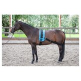 Harry's Horse Longeerband Elastisch - Zwart