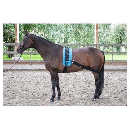 Harry's Horse Longeerband Elastisch - Zwart