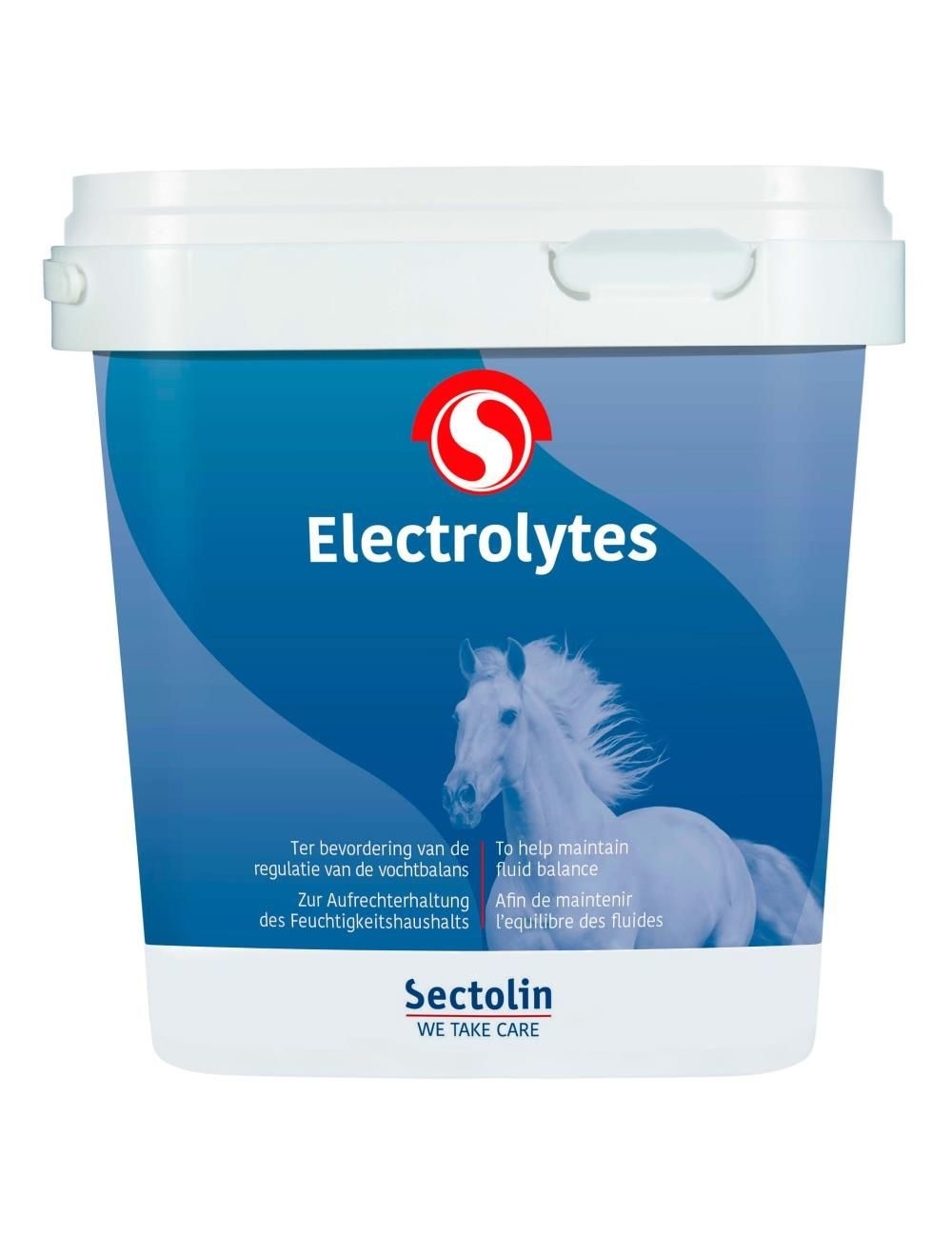 Sectolin Electrolytes - 1 kg