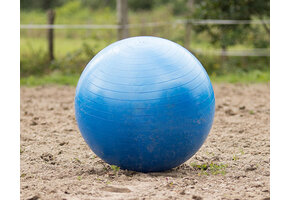 QHP Paardenvoetbal - Blauw