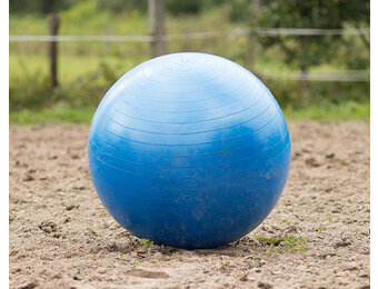 QHP Paardenvoetbal - Blauw