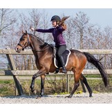 QHP Bareback Pad - Zwart